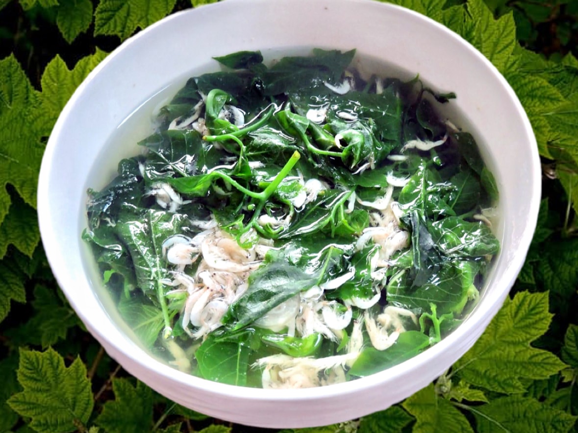 canh-rau-rung_voi_tep.jpg