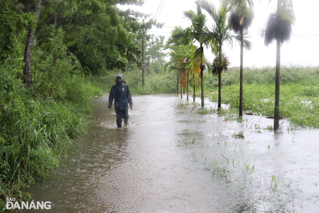 Phần lớn diện tích canh tác ở vùng rau La Hường cũng đã bị ngập nước lũ. Ảnh: HOÀNG HIỆP