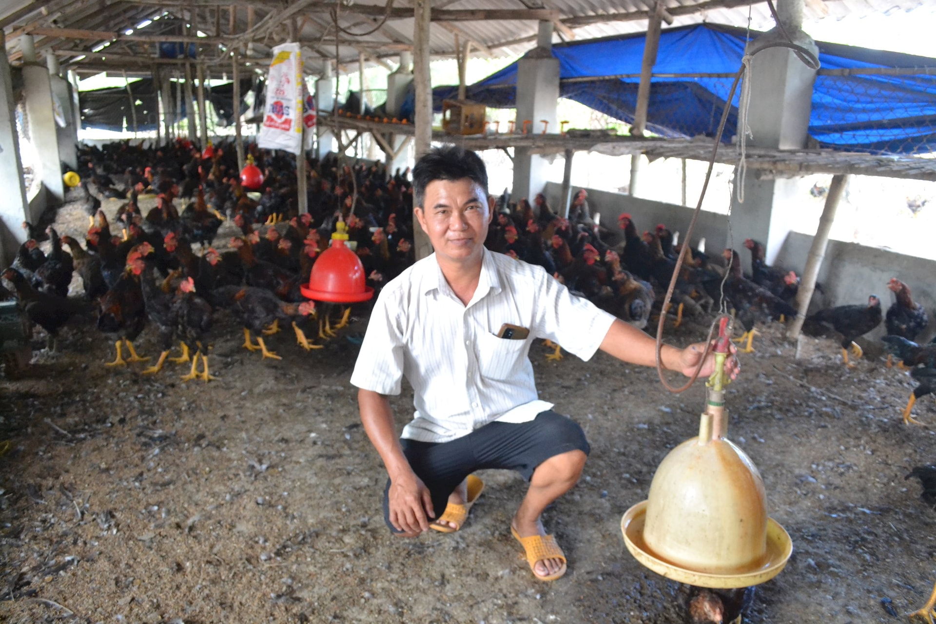 Ga Muoi Tin