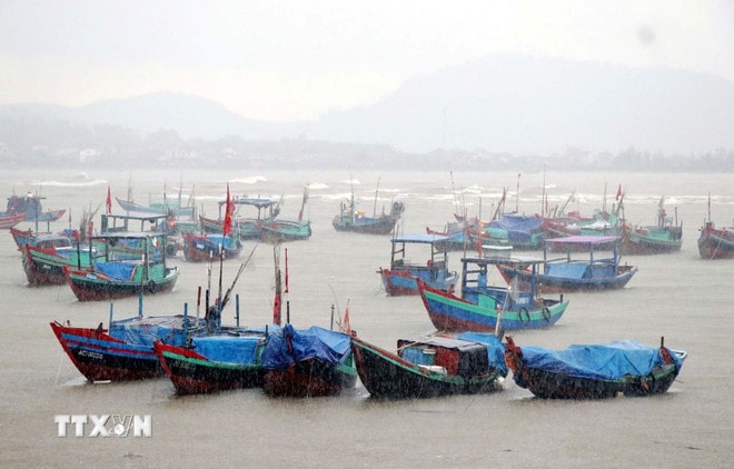 Tàu thuyền về tránh trú bão ở xã Cẩm Nhượng huyện Cẩm Xuyên. (Ảnh: Công Tường/TTXVN)