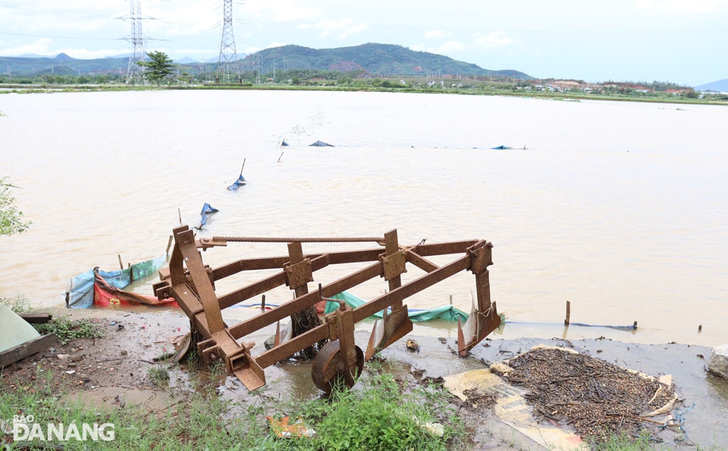 Nhiều diện tích lúa vụ hè thu bị ngâm nước mưa 2 ngày và tiếp tục bị ngập sâu trong lũ. Ảnh: HOÀNG HIỆP