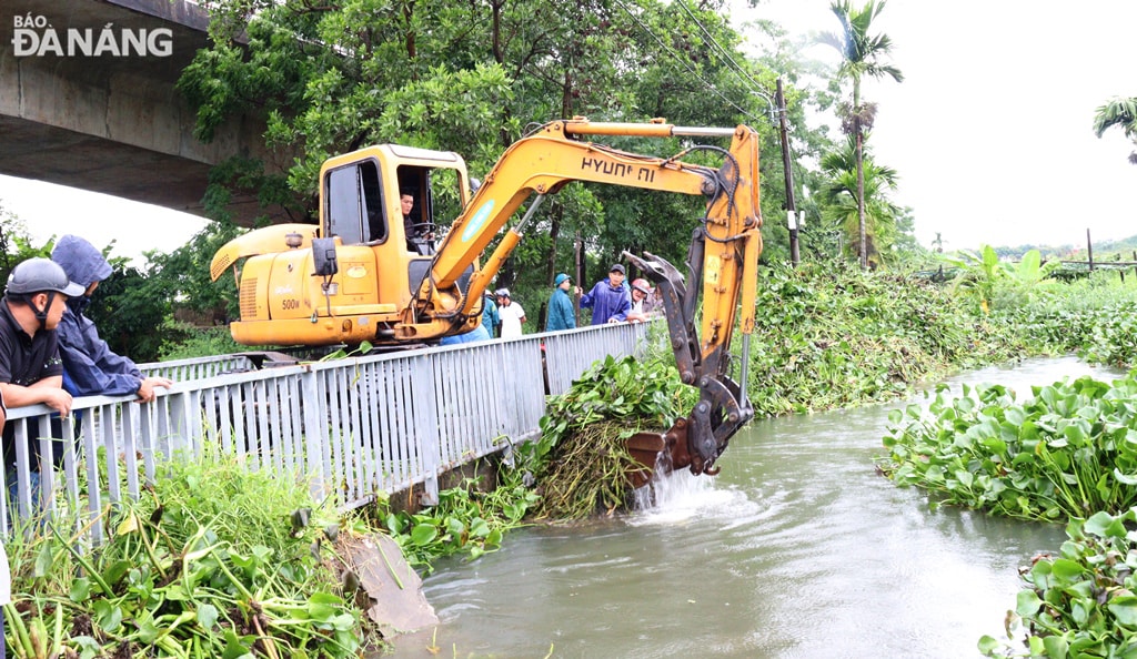 Phường Hòa Thọ Đông (quận Cẩm Lệ) huy động lực lượng và phương tiện vớt bèo rác, khơi thông thoát lũ, giảm ngập úng cho khu vực phía tây bắc của vùng rau La Hường. Ảnh: HOÀNG HIỆP