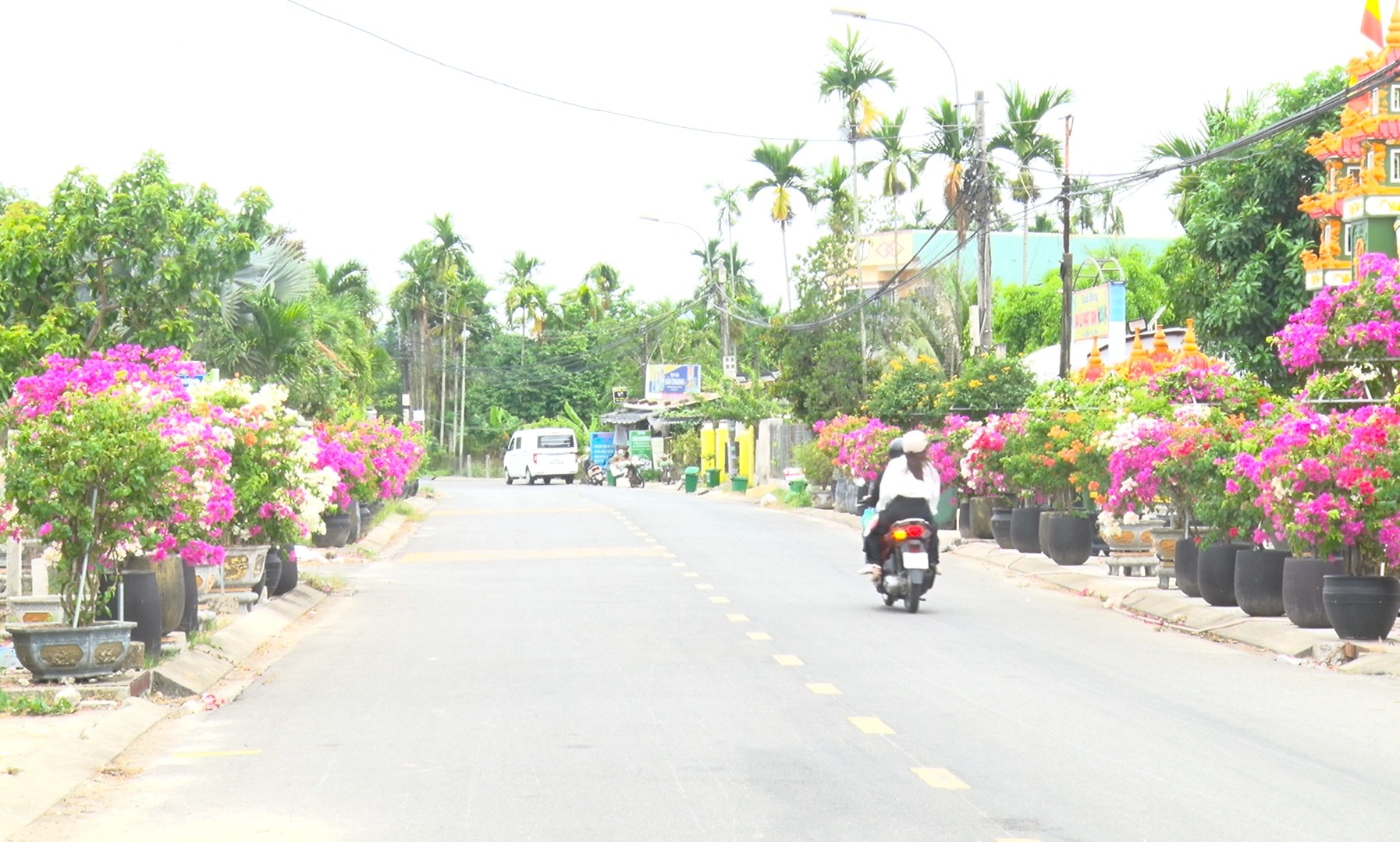 dscn91016.jpg