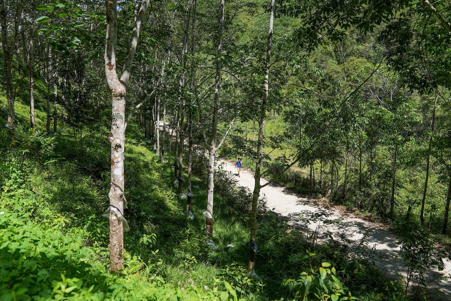 DUONG SA 1