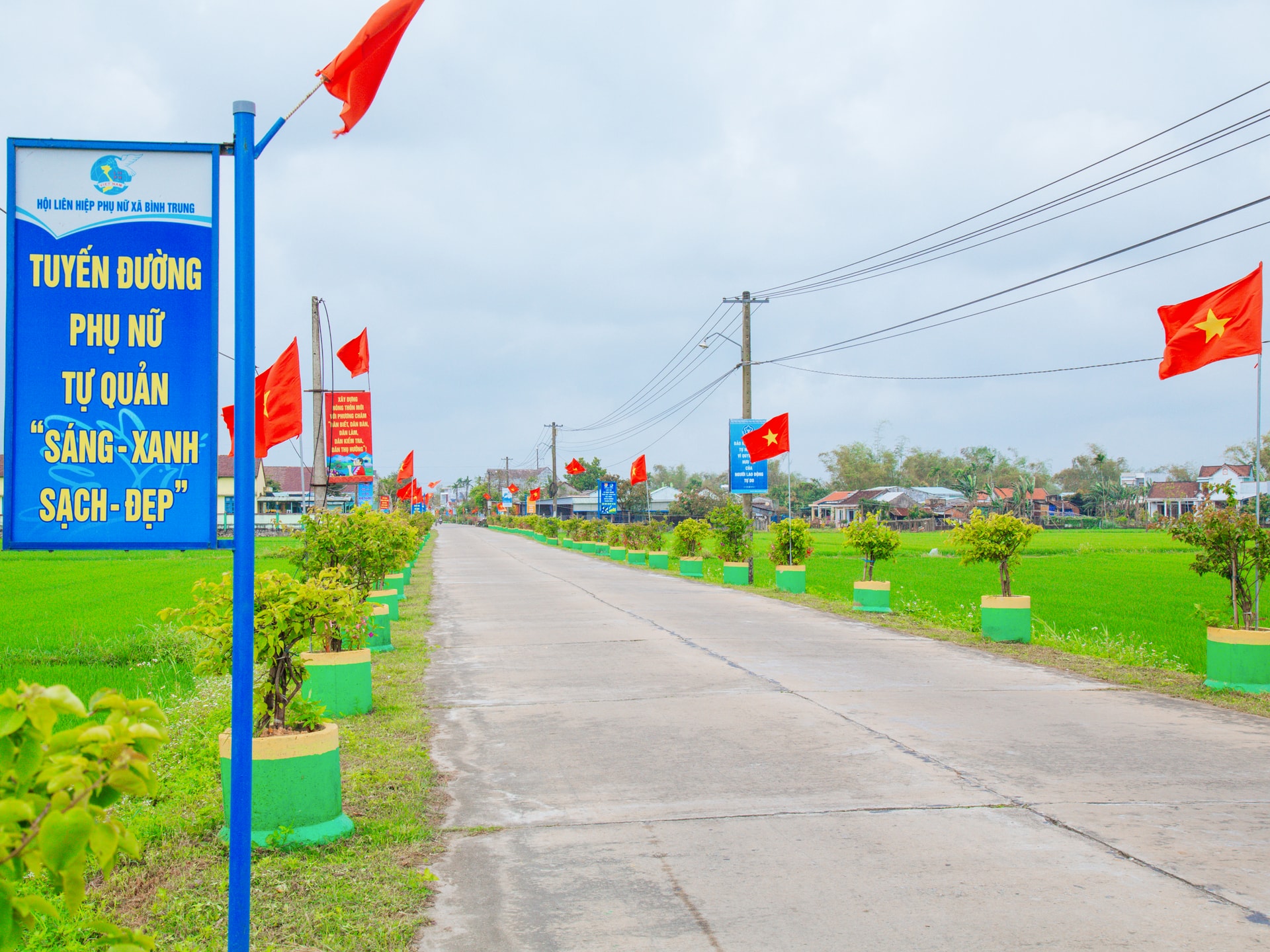 tbao3937.jpg