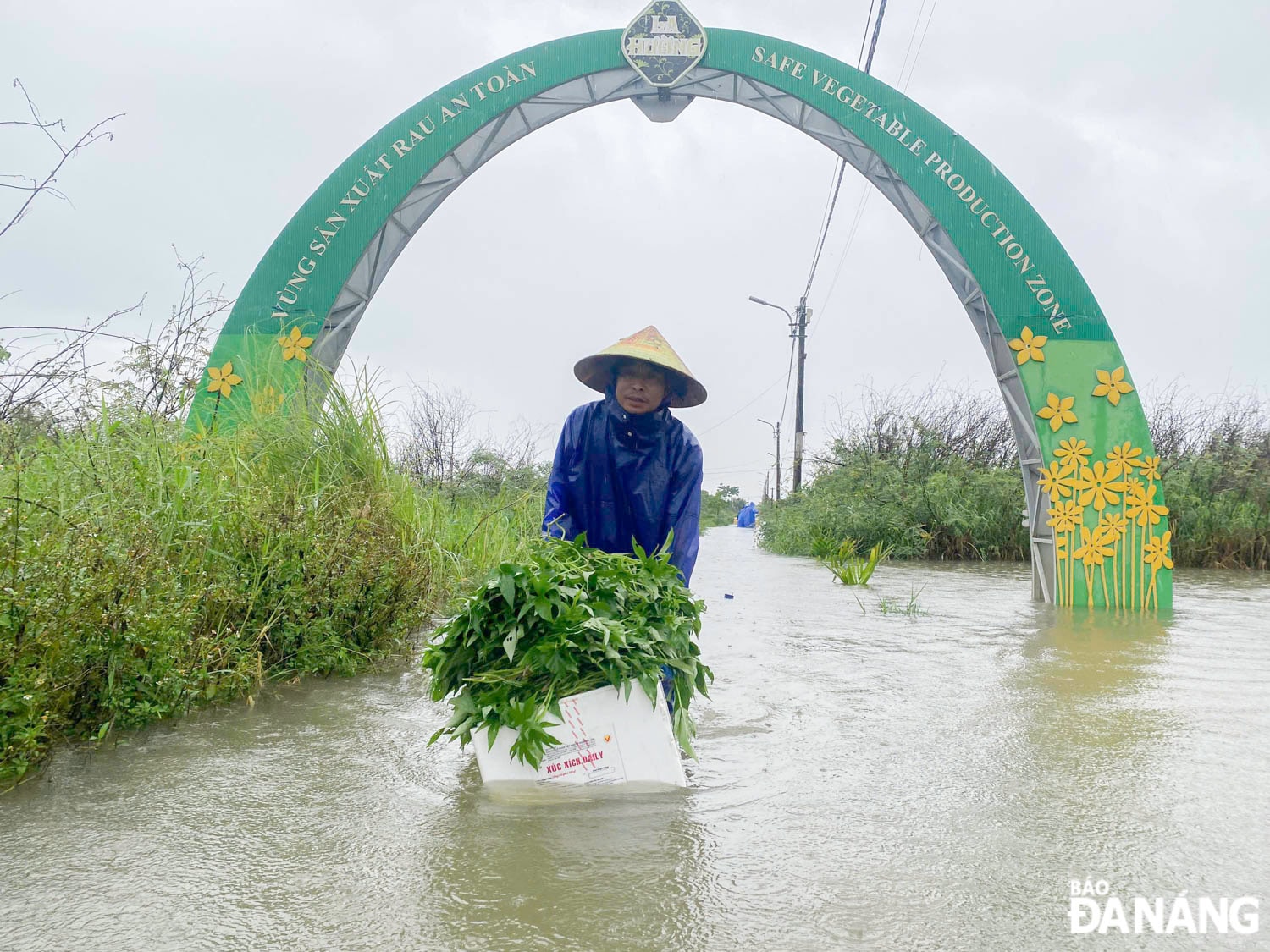 Những trận mưa lớn kéo dài do ảnh hưởng bão số 1 khiến hàng chục héc ta rau màu tại làng rau La Hường chìm trong nước lũ. Trong ảnh: Ghi nhận vào ngày 12-6,  nhiều ông dân cố gắng vớt vát rau màu trong nước lũ.