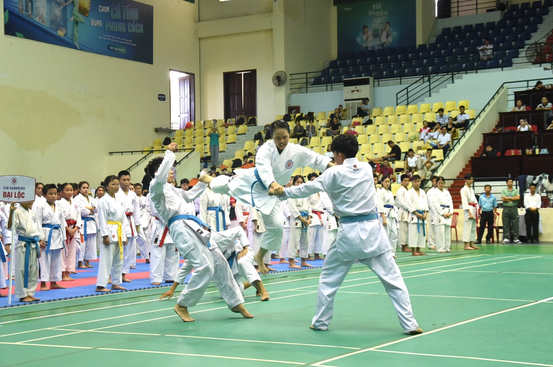 dsc_6602.jpg