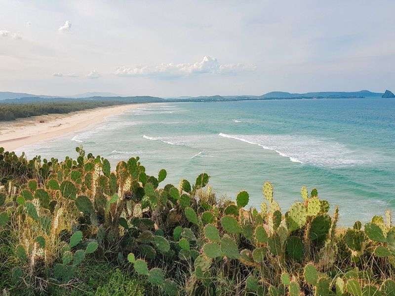 Bai Xep Phu Yen: Friedliche Schönheit des Landes der gelben Blumen und des grünen Grases