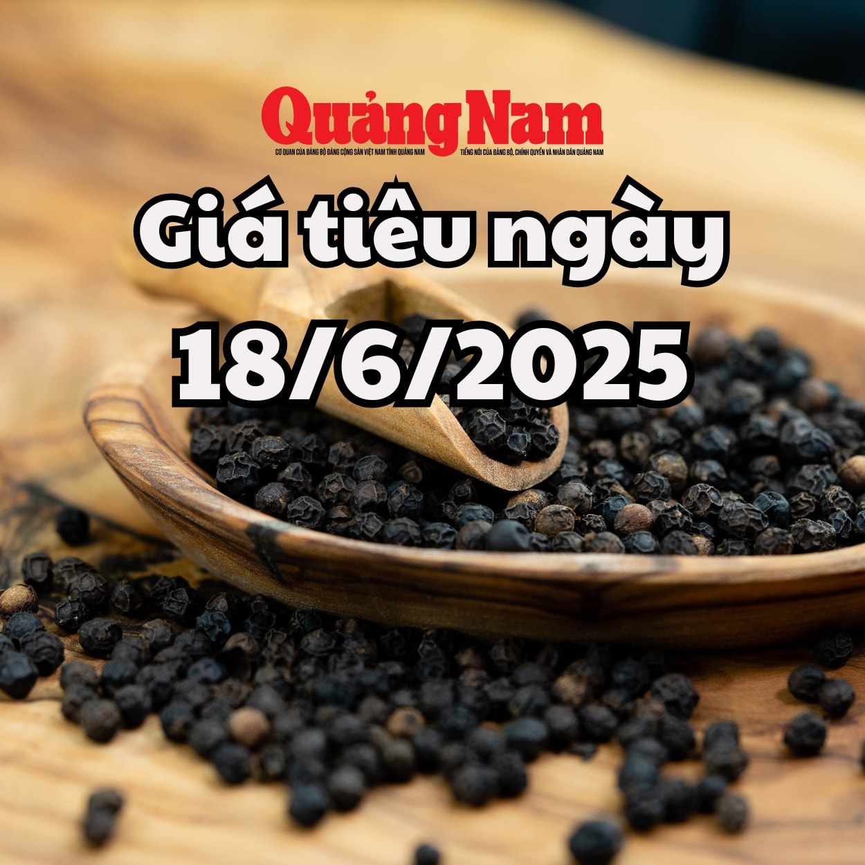 Tin tức, dự báo giá tiêu ngày mai 18 6 2025 mất đỉnh 134.000 VNĐ kg