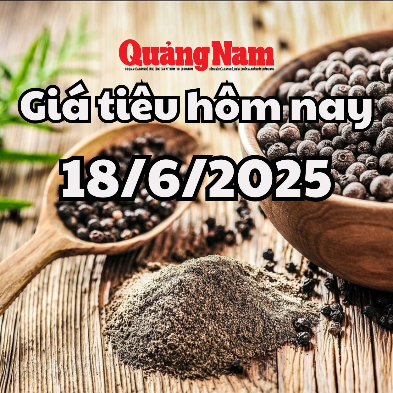 Cập nhật giá tiêu hôm nay 18 6 2025 mới nhất Đà giảm yếu đi