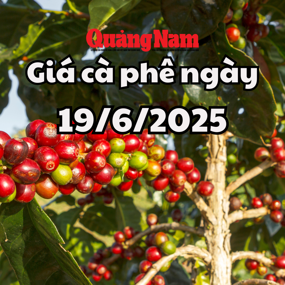 Tin tức, dự báo giá cà phê ngày mai 19 6 2025 chưa có dấu hiệu dừng lại