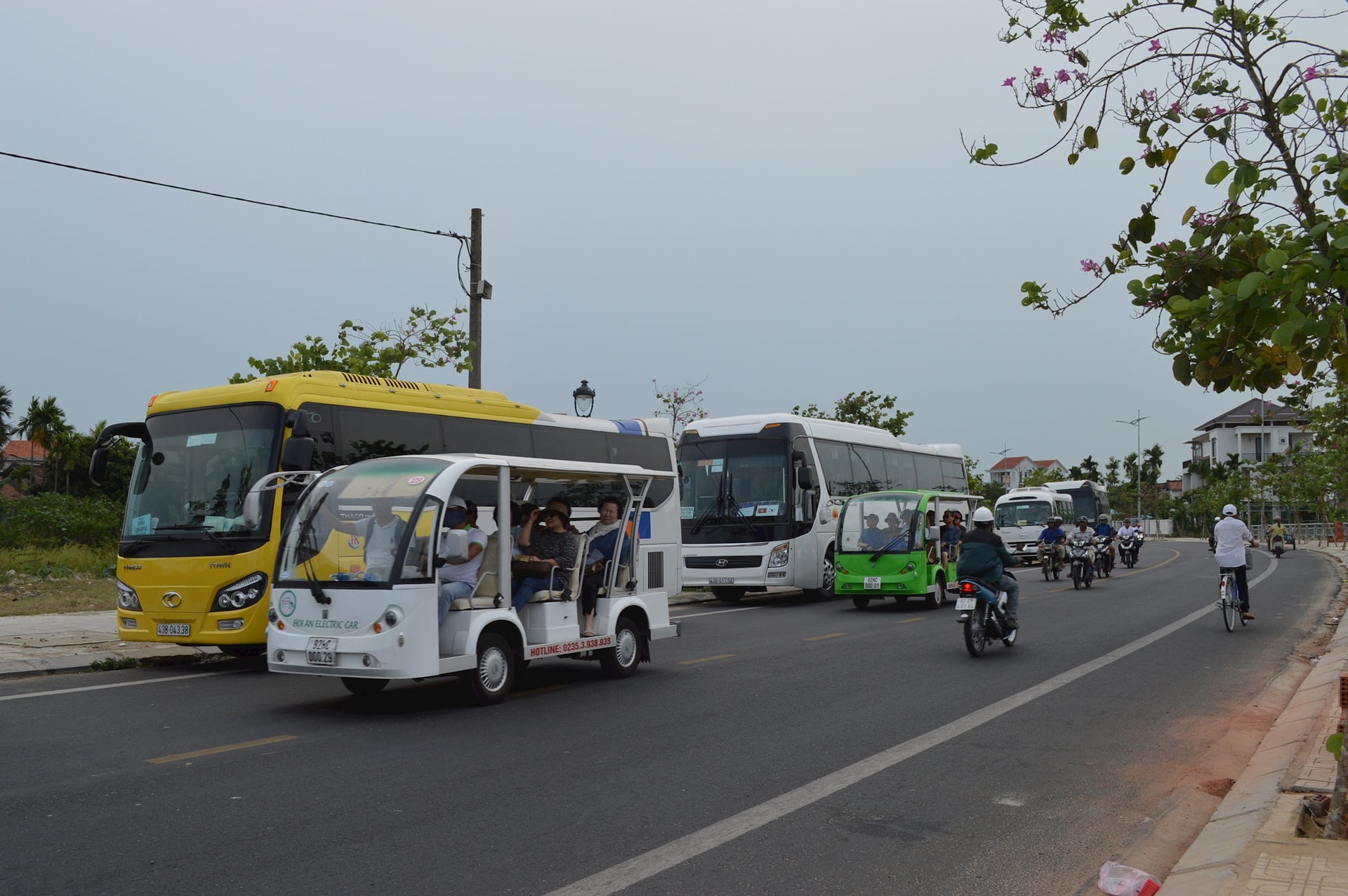 a7.jpg