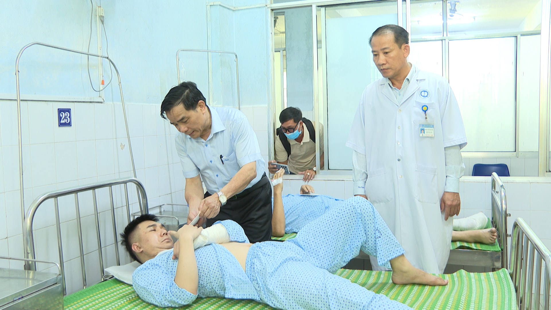 ANH 6