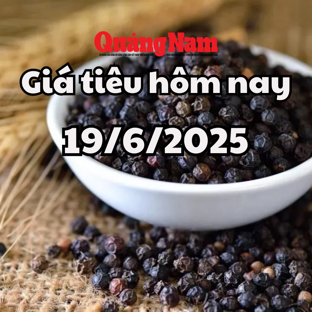 Cập nhật giá tiêu hôm nay 19 6 2025 mới nhất Giá tiêu trong nước đỏ lửa