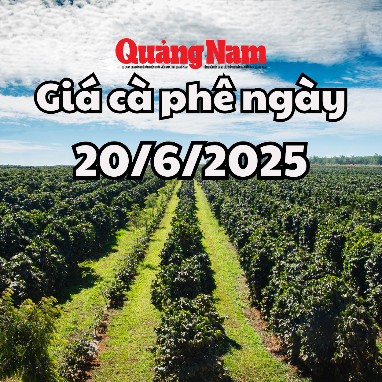 Tin tức, dự báo giá cà phê ngày mai 20 6 2025 khó phục hồi lại