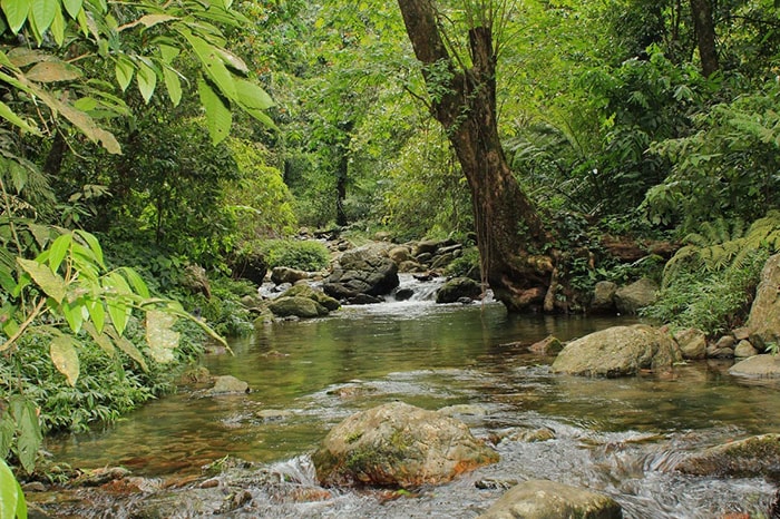 luhanhvietnam.com.vn-du-lich-vnt_upload-news-03_2020-_ve-dep-huyen-bi-hoang-so-cua-suoi-tien-quang-nam1.jpg
