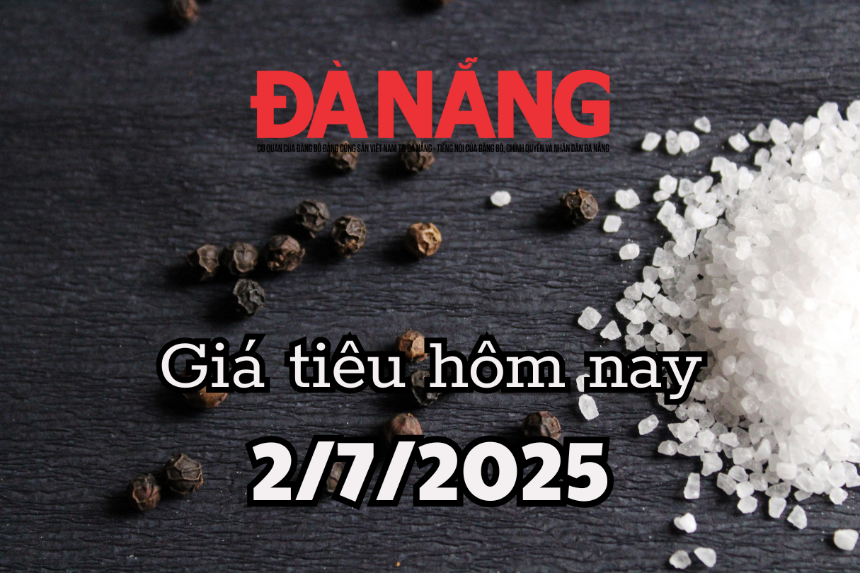 Giá tiêu hôm nay 2 7 2025 Iran-Israel ngừng bắn, cú hích đẩy giá tăng 35