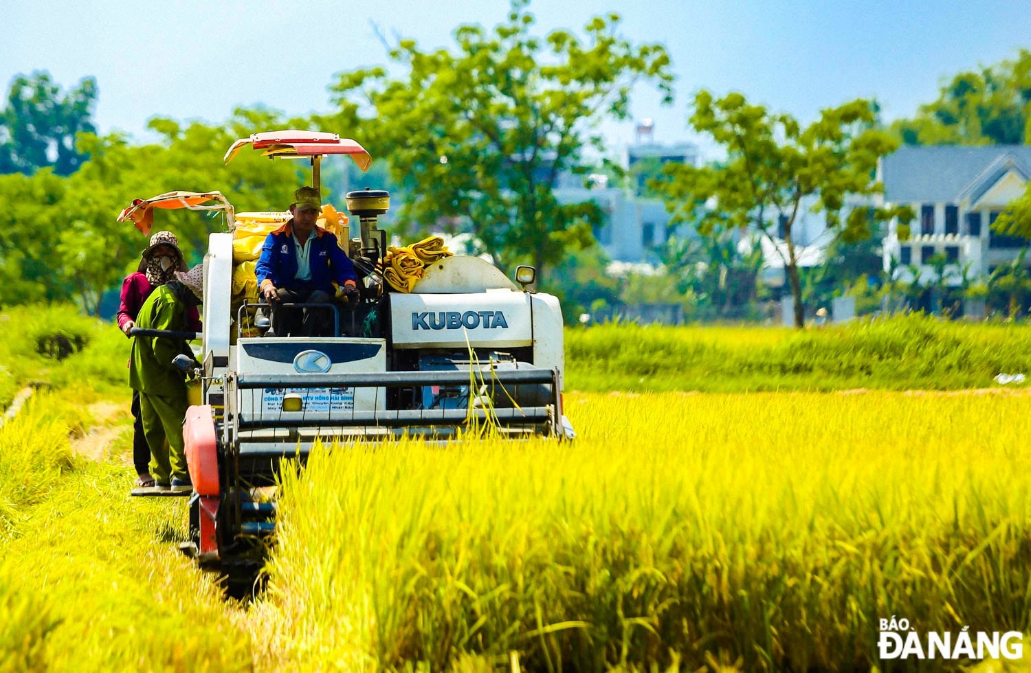 Nâng cao giá trị sản xuất nông nghiệp gắn với thị trường trong phát triển nông nghiệp ở Bà Nà