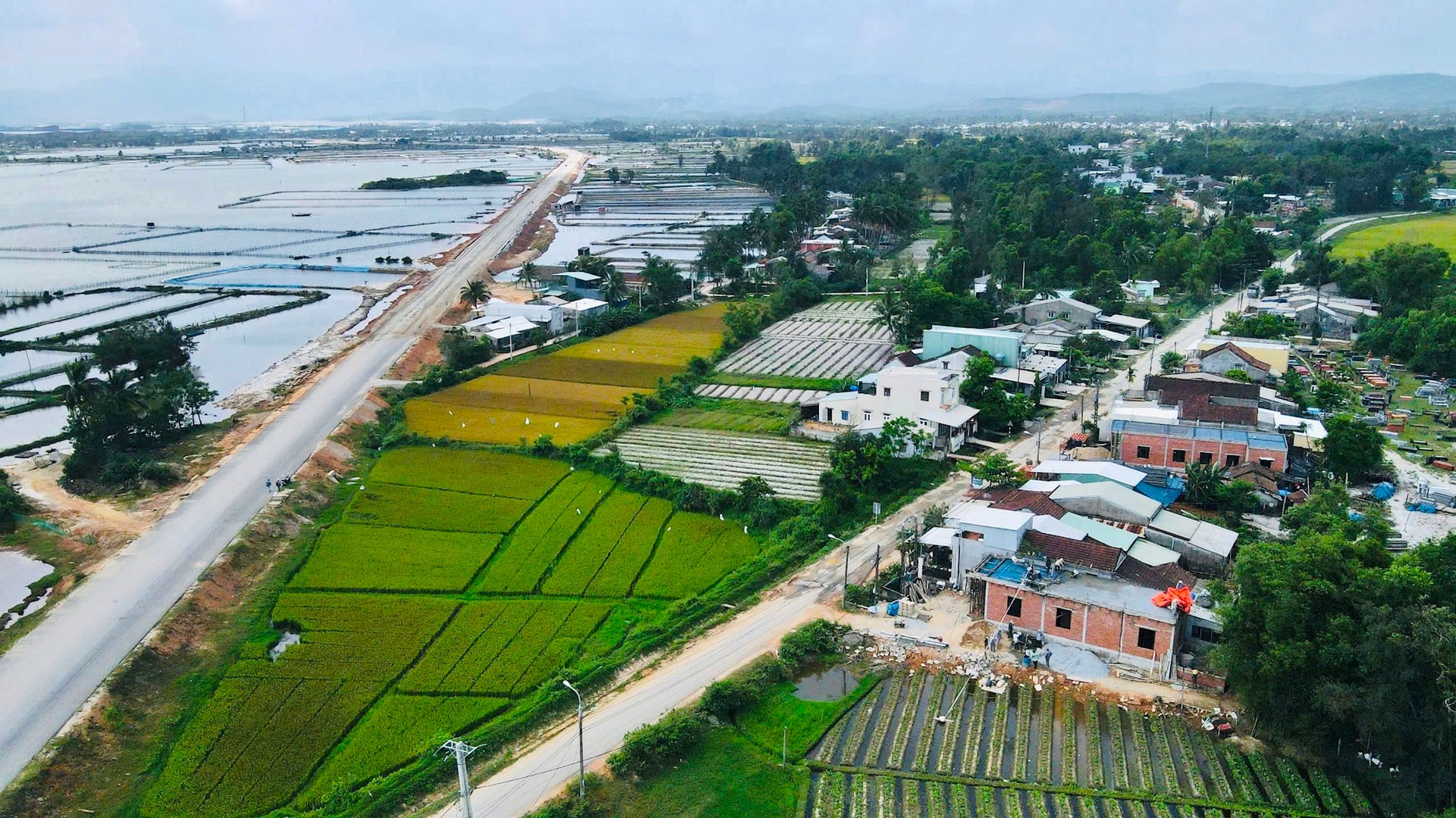 khu phi thuế quan