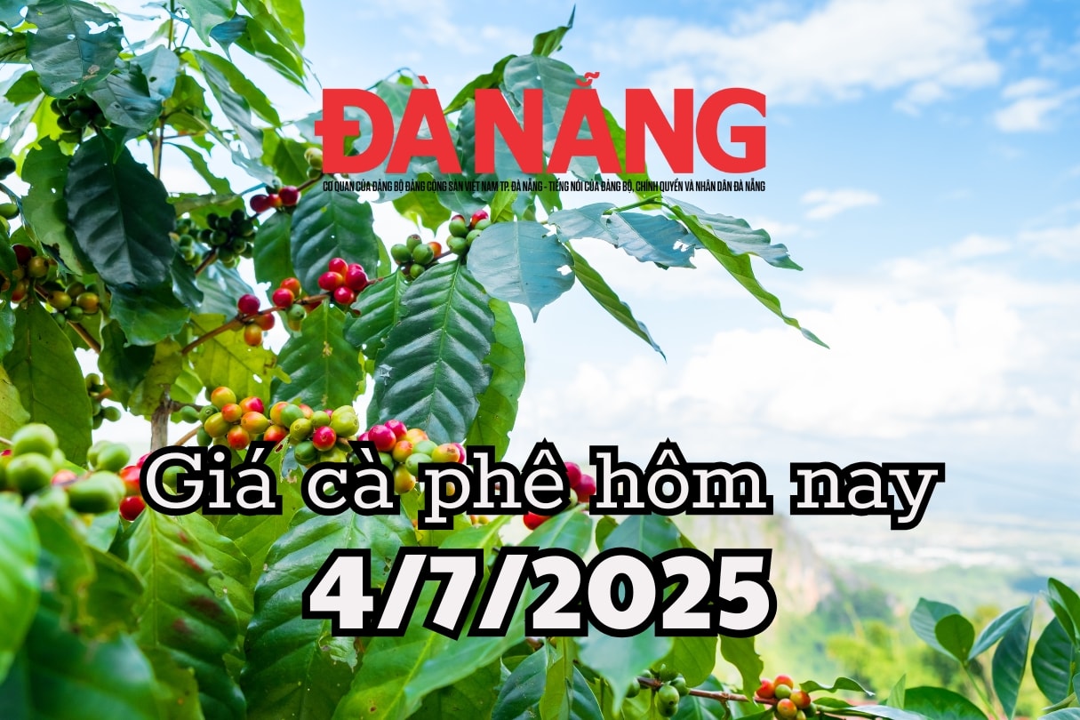 Giá cà phê hôm nay 4 7 2025 Brazil giáng đòn xuất khẩu, cà phê Việt quay lại mốc 95.200 đồng