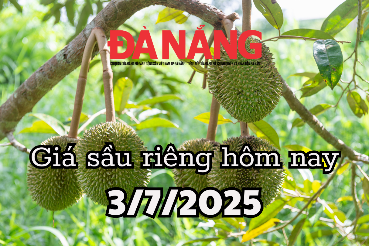 Giá sầu riêng hôm nay 3 7 2025 Lội ngược dòng, 61.000 tấn sầu riêng Việt xuất khẩu