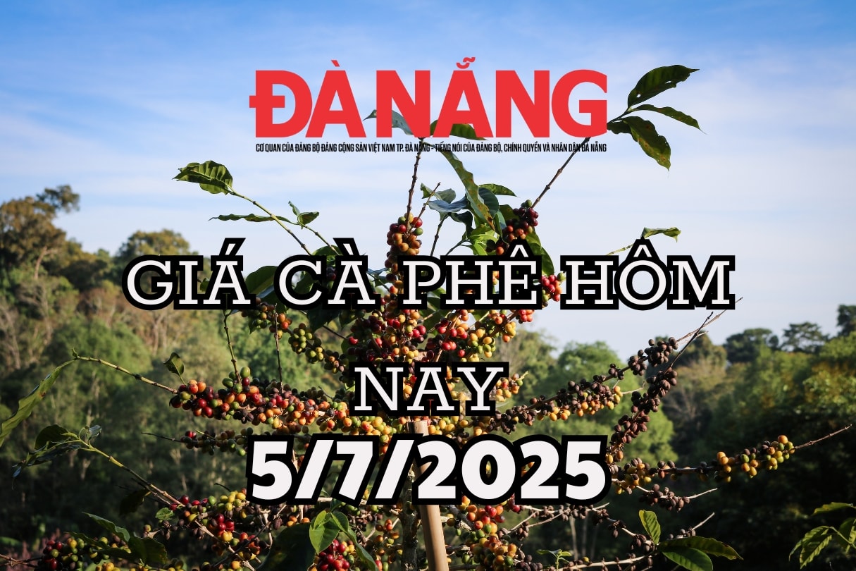 Giá cà phê hôm nay 5 7 2025 Tây Nguyên bật tăng 300-400 đồng, Đắk Nông dẫn đầu đà hồi phục