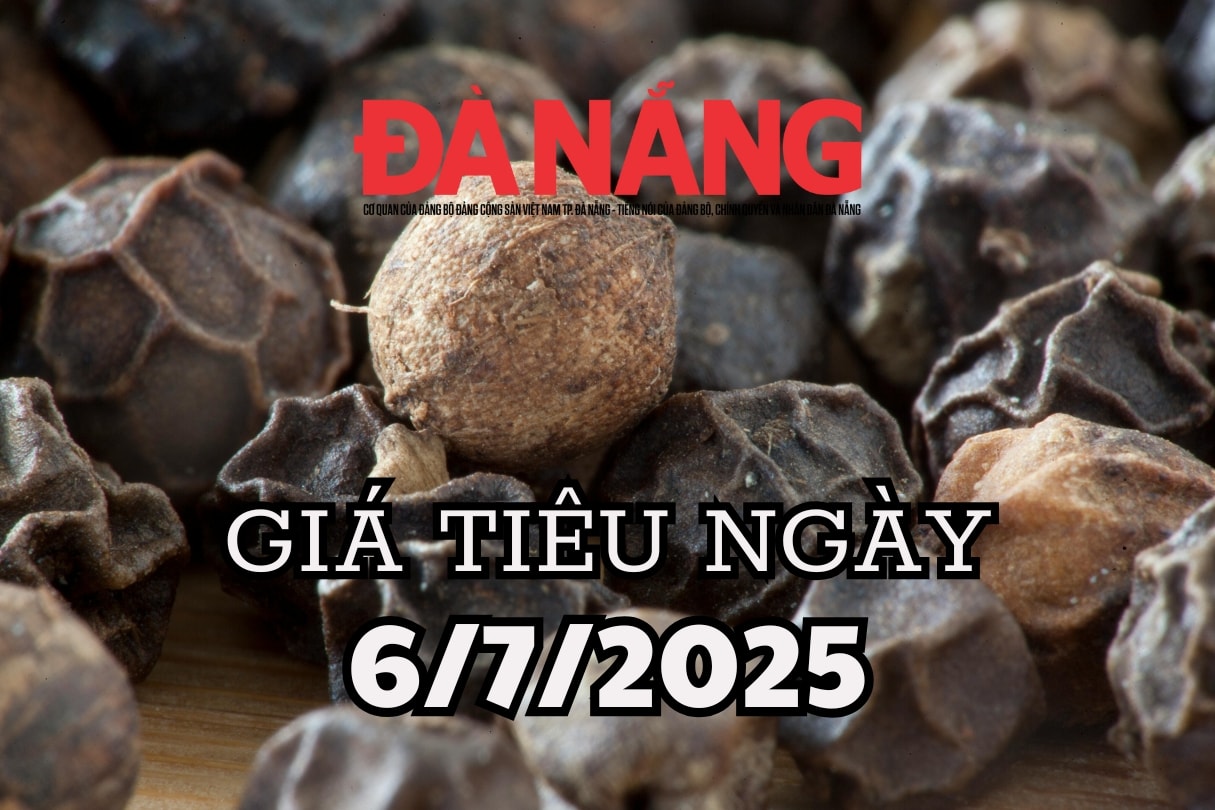 Dự báo giá tiêu ngày mai ở trong nước 6 7 2025 xuất khẩu tăng mạnh nhưng giá nội địa vẫn giảm sâu