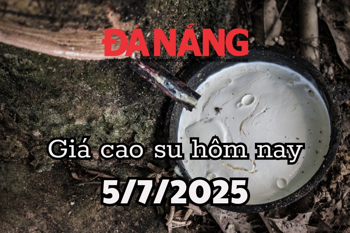 Giá cao su hôm nay 5 7 2025 Nhu cầu toàn cầu 15,56 triệu tấn vẫn không đủ cứu giá