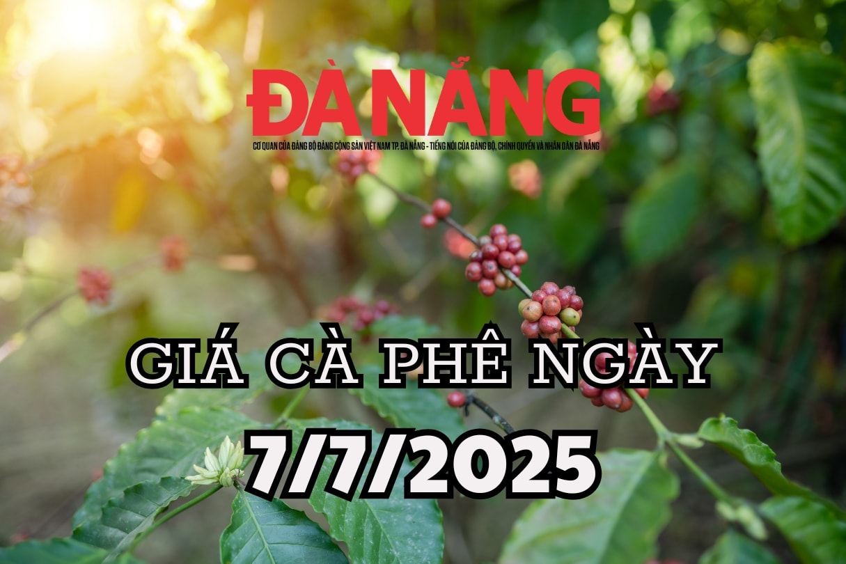 Giá cà phê hôm nay 7 7 2025 Mưa dầm thấm lâu hay sắp có cú hích lớn