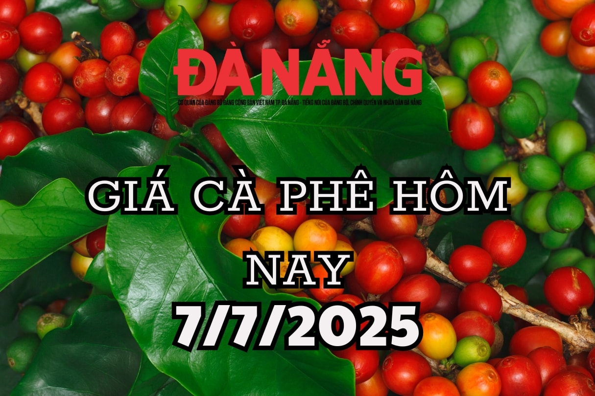 Giá cà phê có thêm đợt tăng mới ở trong nước, Đắk Lắk tăng nhiều nhất, cà phê thế giới đi ngang