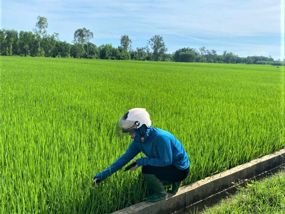 nong nghiep Thang Phu1