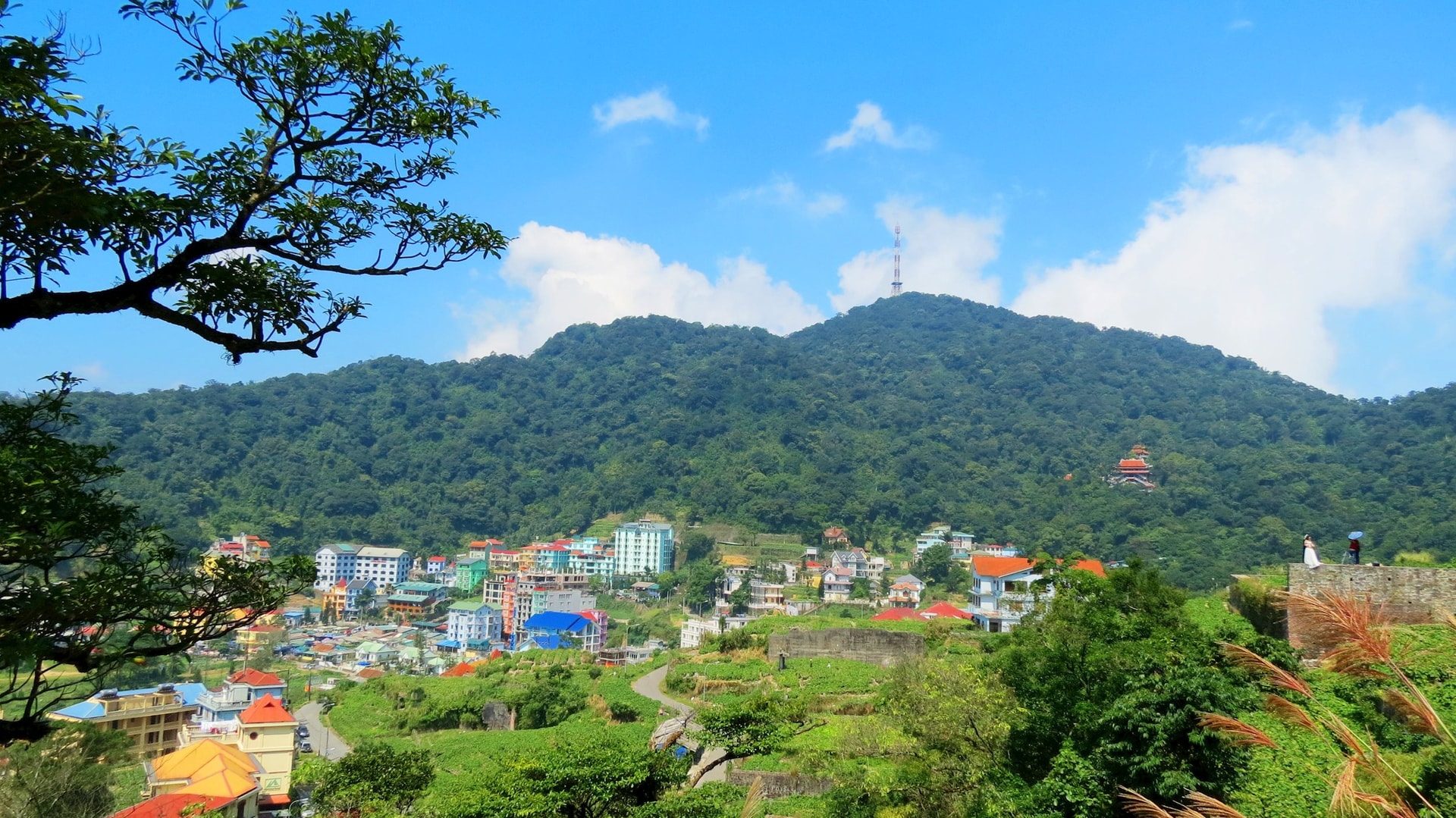 Bỏ túi lịch trình 2 ngày 1 đêm Tam Đảo Check-in Cổng Trời, chỉnh phục đỉnh Thiên Nhị