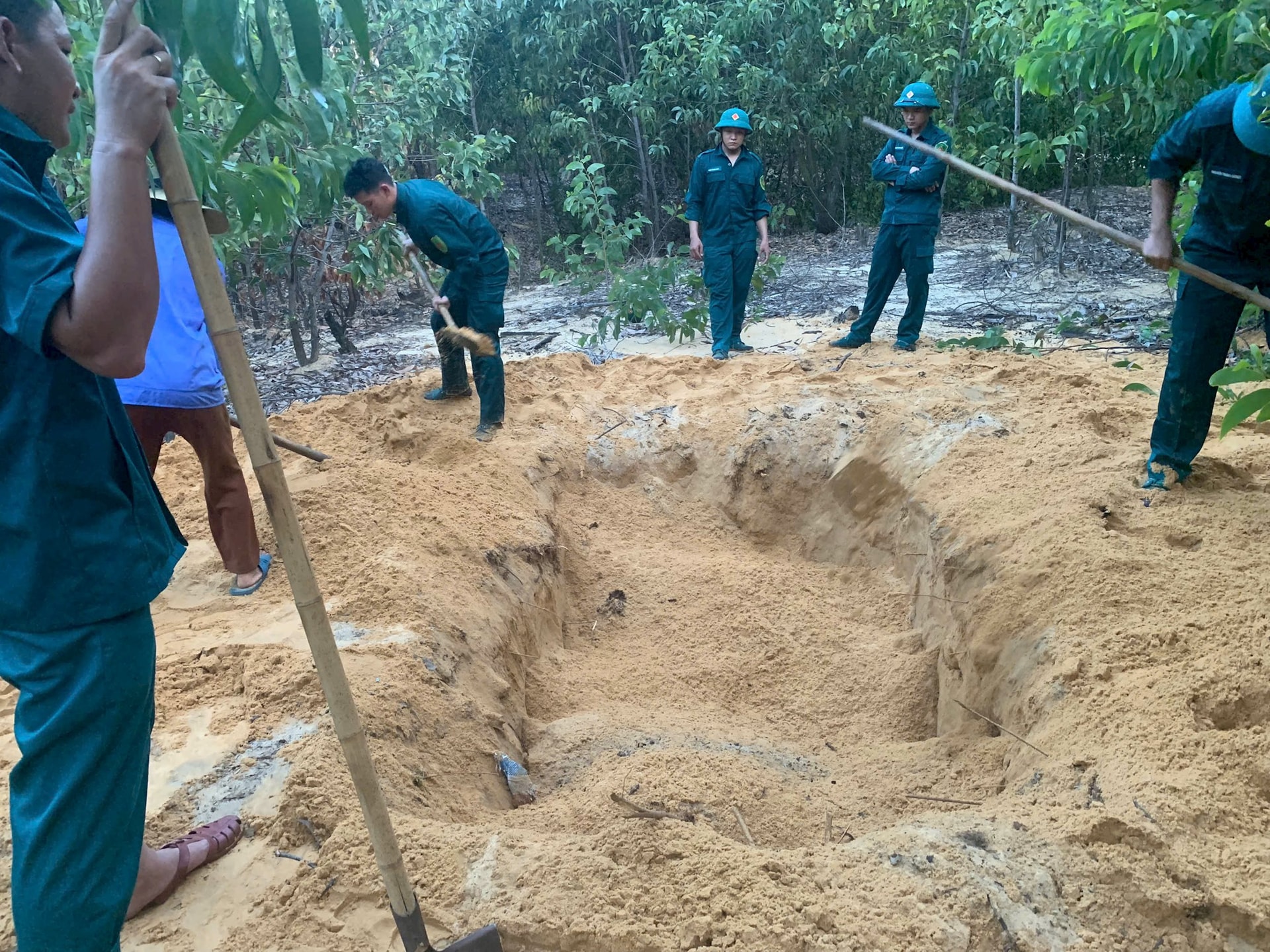 Xử lý lợn chết