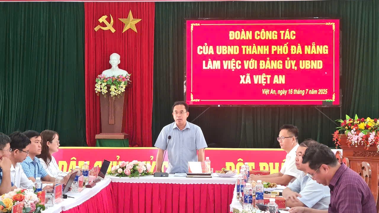 viet an 7