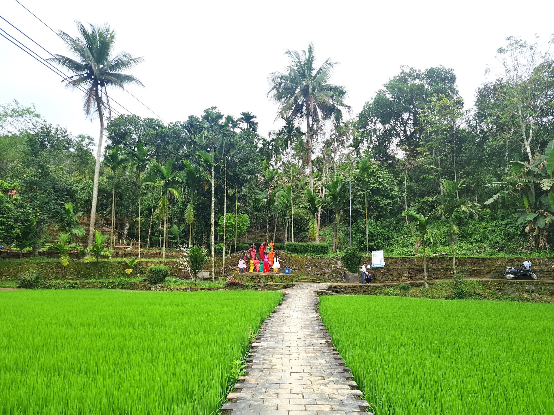anhbai2 (2)
