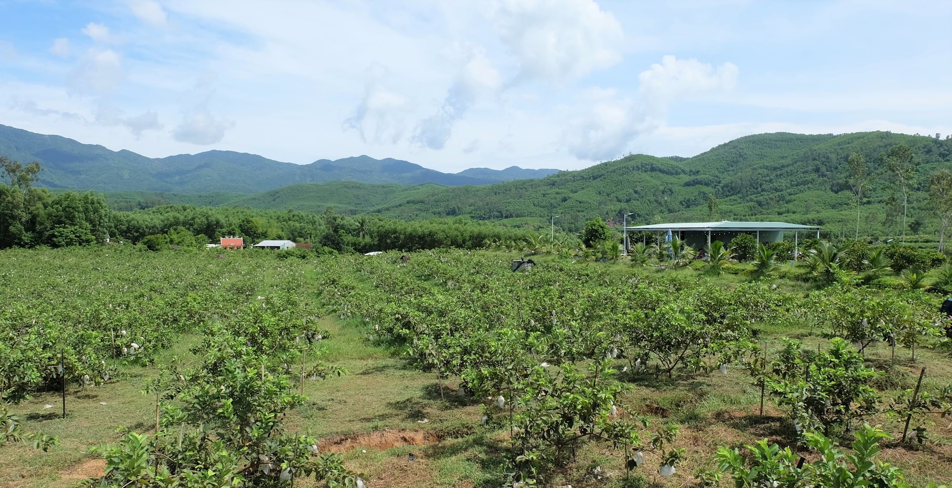 dscf03271.jpg