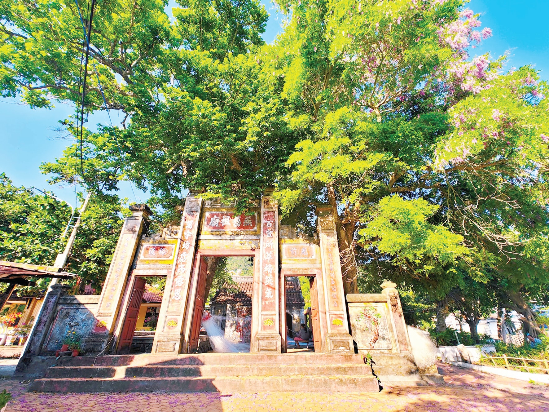 画像_20250517_160110.jpg
