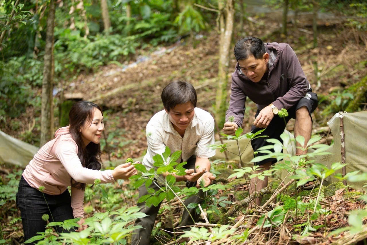 TRAI NGHIEM VUON SAM