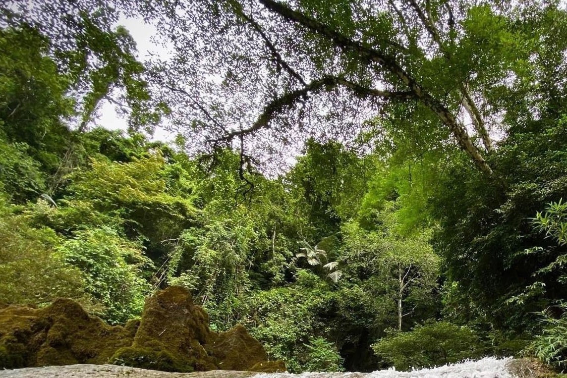 Phong Nha Kẻ Bàng 4