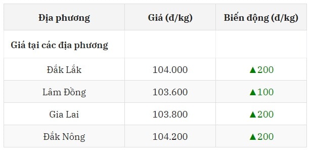 Giá cà phê trong nước hôm nay ngày 12 8 2025