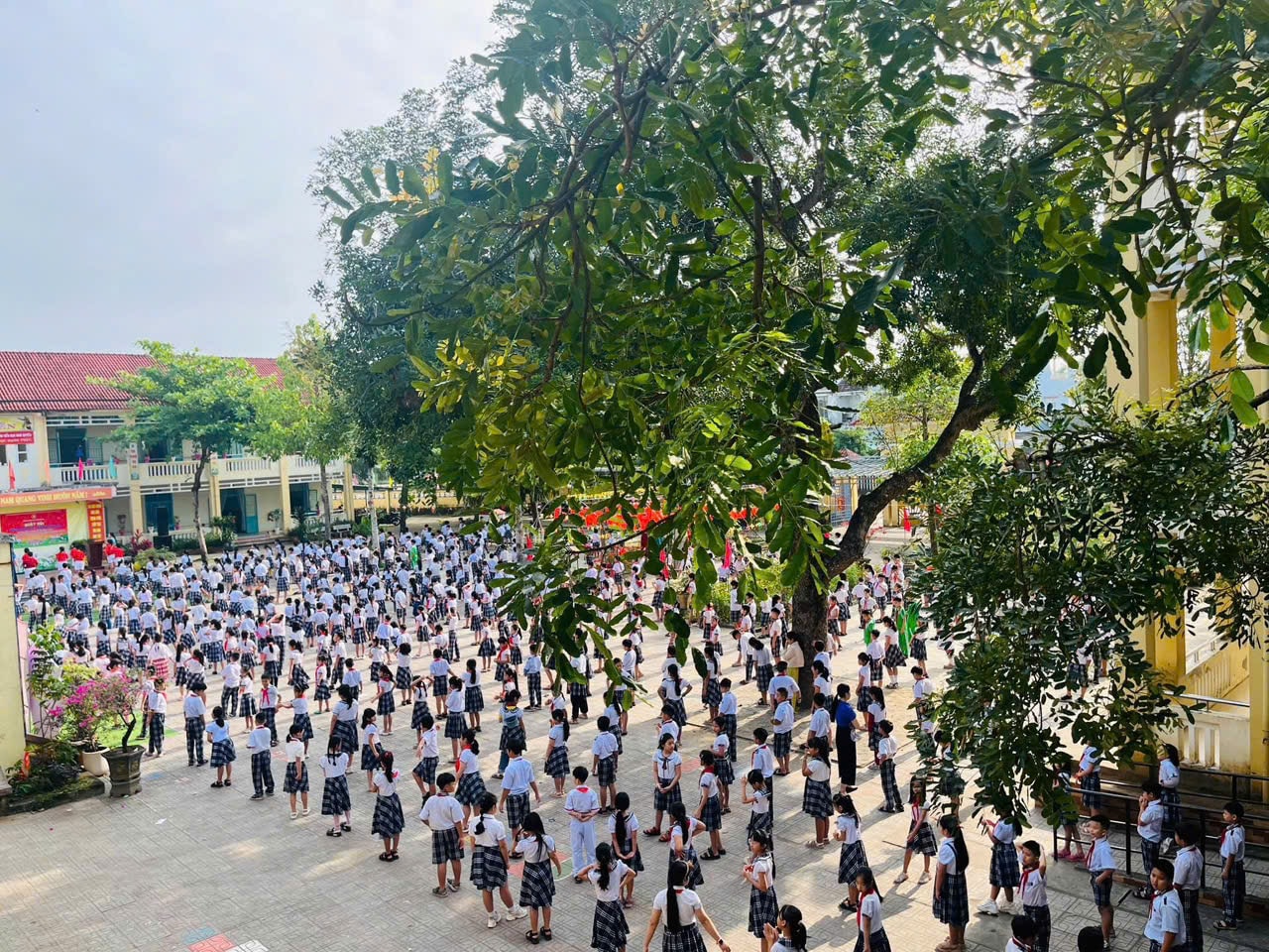 حرم مدرسة Ngo Quyen الابتدائية في جناح Quang Phu. الصورة: إن تي سي سي