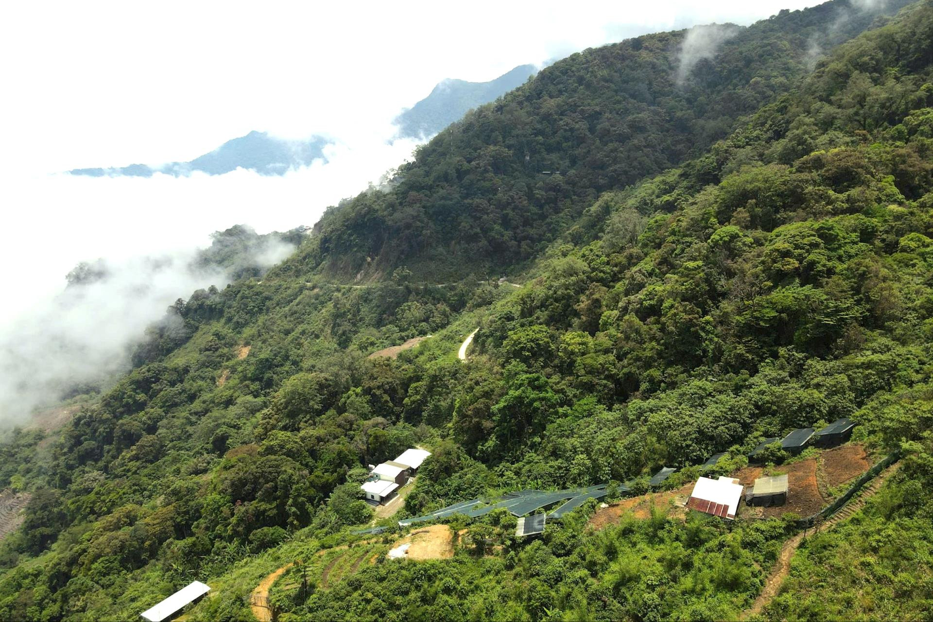 Khu vực phía Tây thành phố đang thu hút nhiều doanh nghiệp đầu tư vào dược liệu. Ảnh: HỒ QUÂN