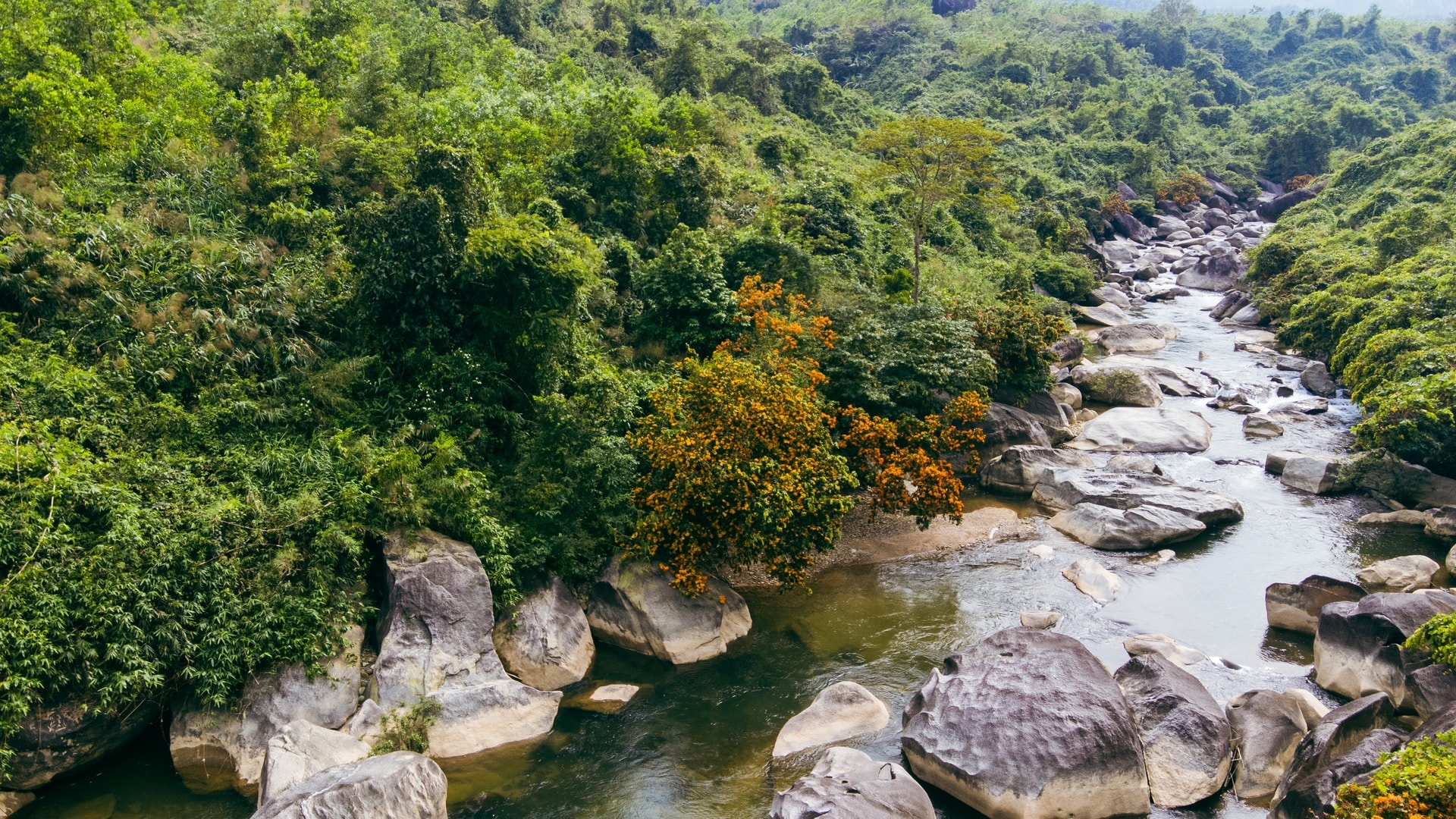 dji_0333-1-.jpg