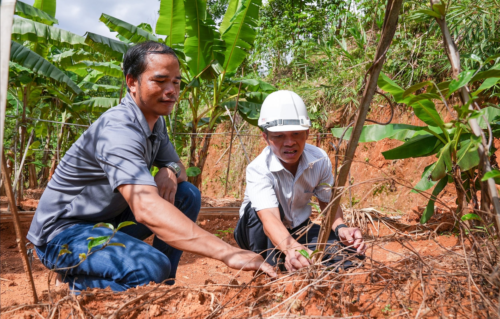 LIEN KET SAN XUAT BA KICH