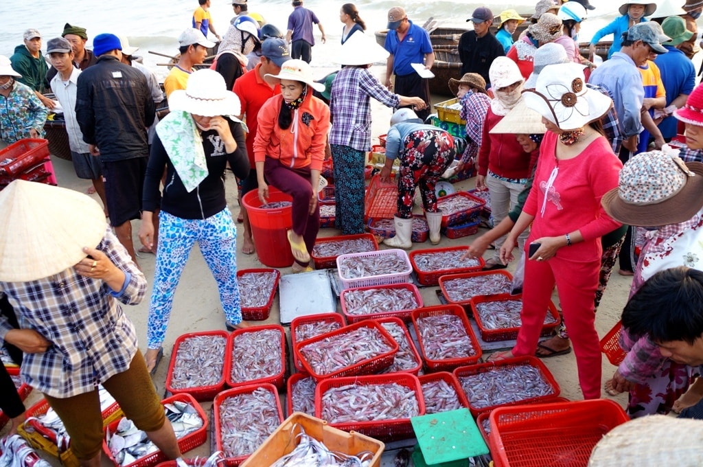 Chính quyền xã Tam Xuân đang thống kê, ghi chép rõ lượng hải sản buôn bán để cập nhật, lưu trữ số liệu. Trong ảnh: Ngư dân bán hải sản tại bến cá Tam Tiến (xã Tam Xuân). Ảnh: QUANG VIE