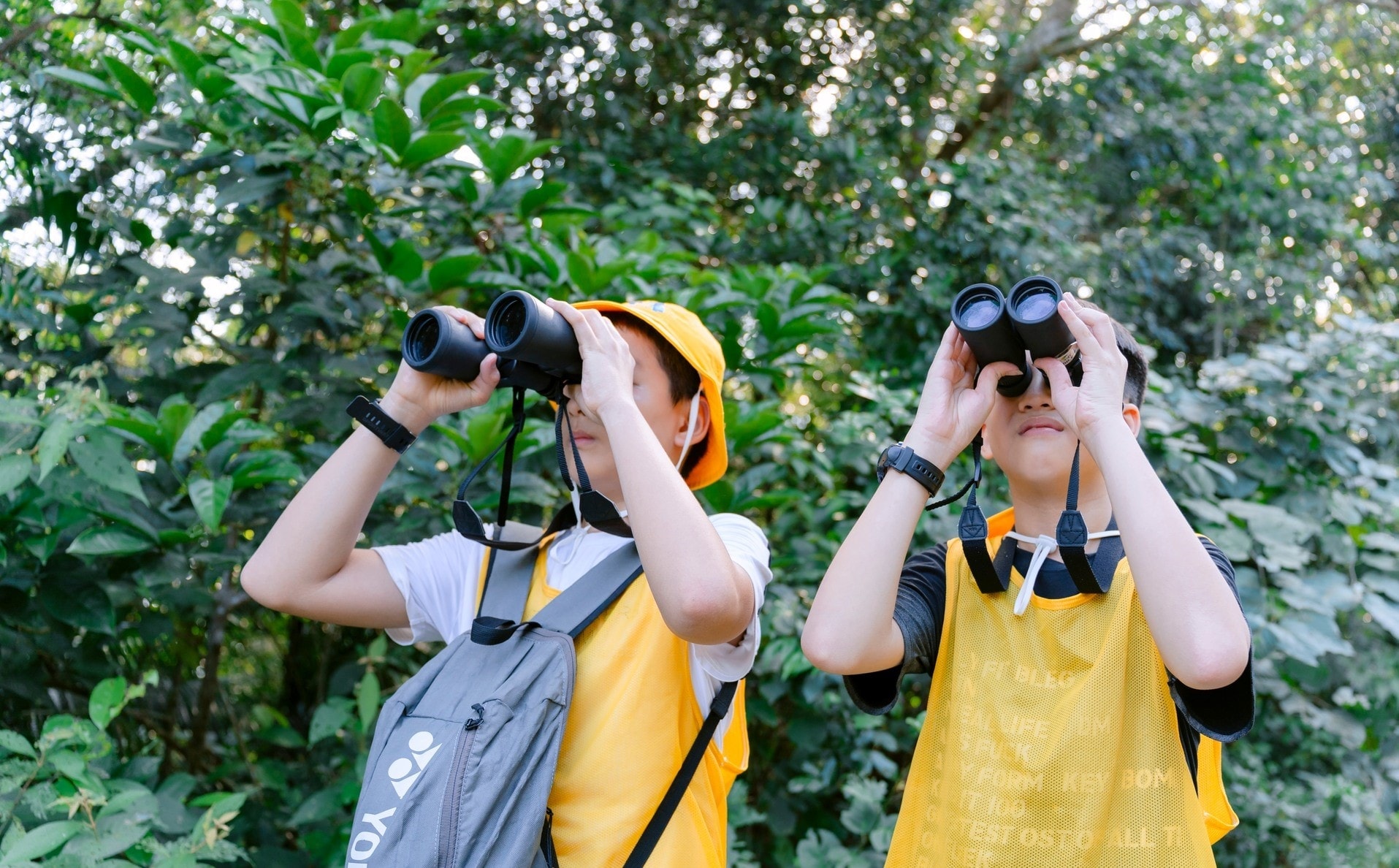 Bảo vệ rừng bền vững 