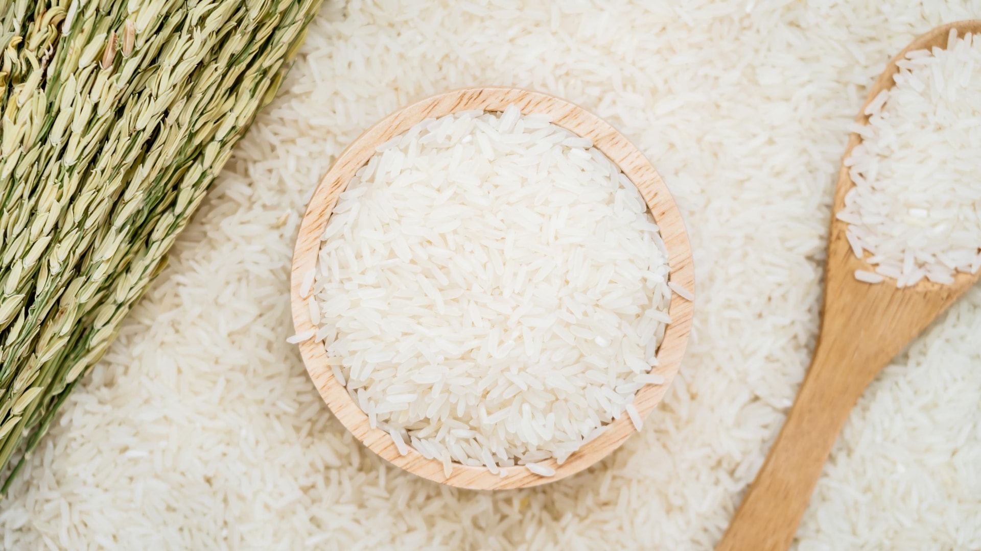 Giá lúa gạo hôm nay 21/8: Giá gạo xuất khẩu Việt Nam vọt lên dẫn đầu thế giới