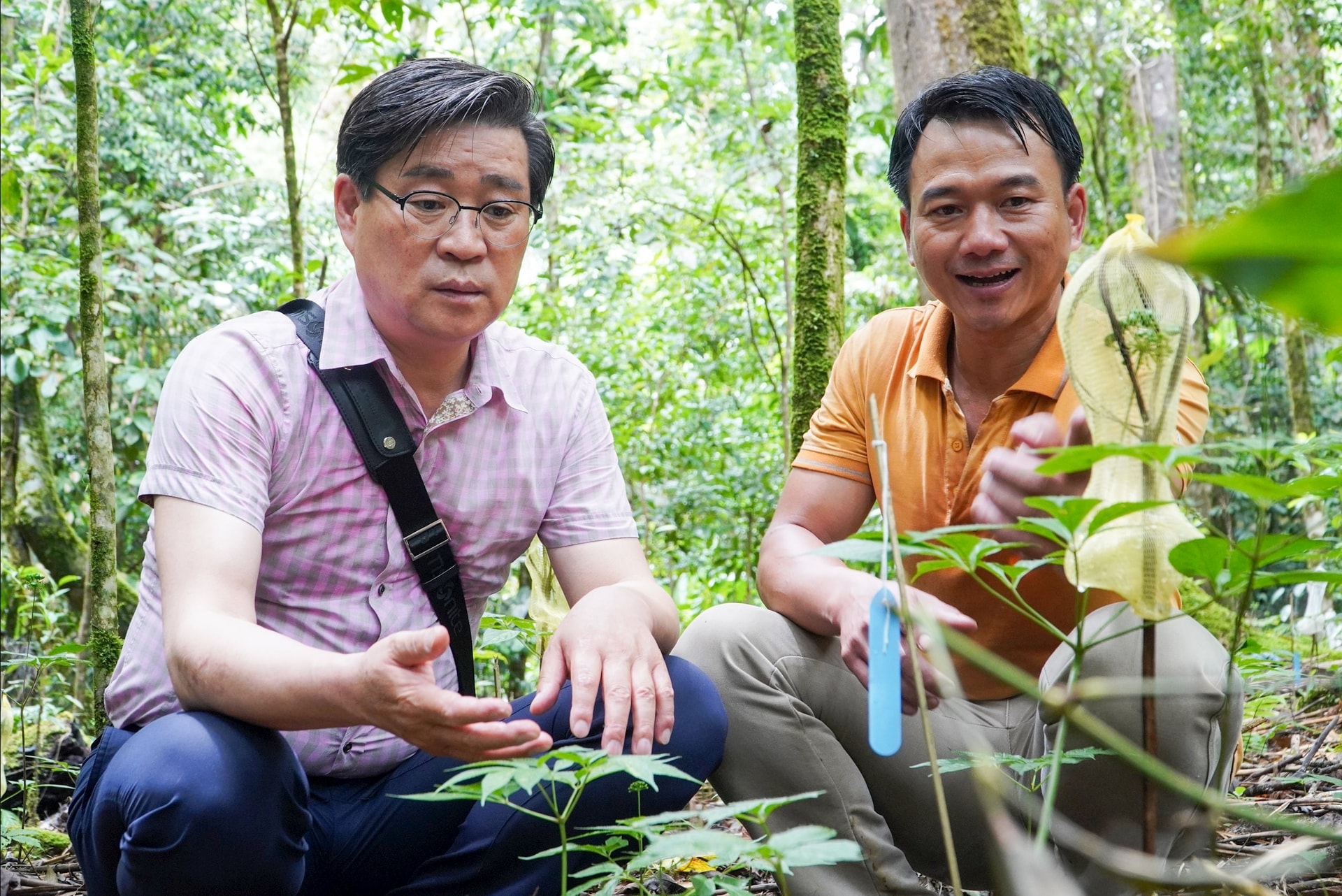 Mở hướng du lịch lên vùngcao 