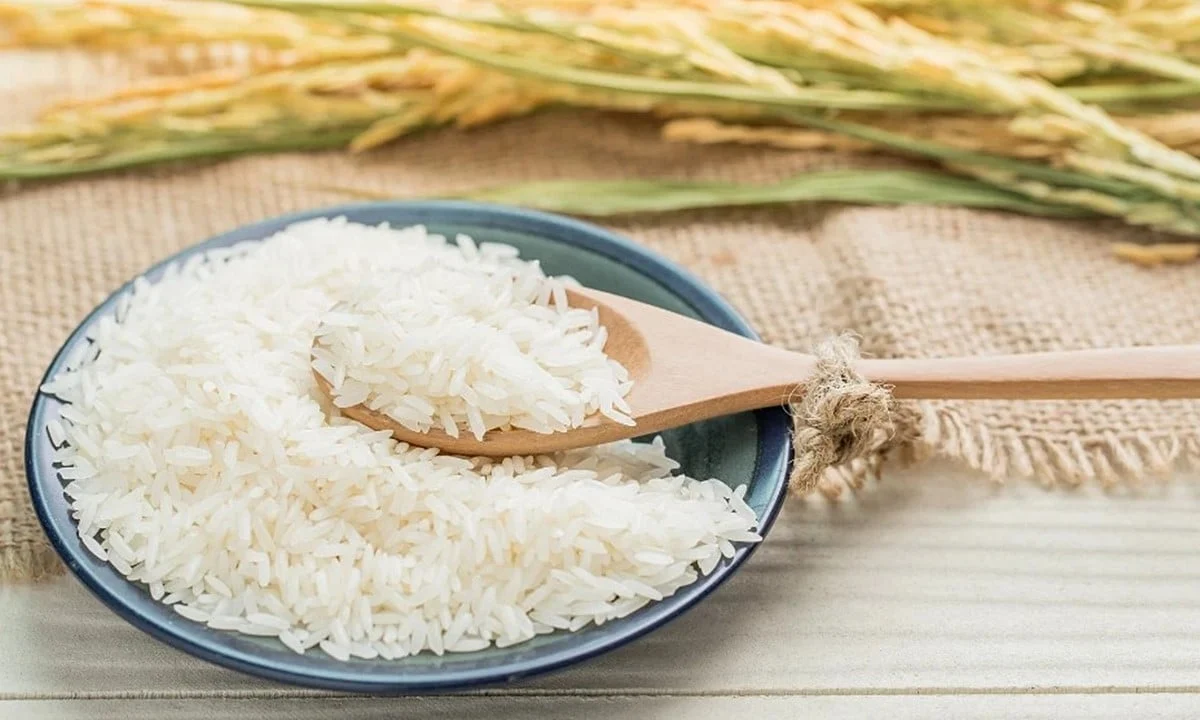 Giá lúa gạo hôm nay 24/8: Gạo giảm nhẹ 100 đồng/kg, lúa giữ giá