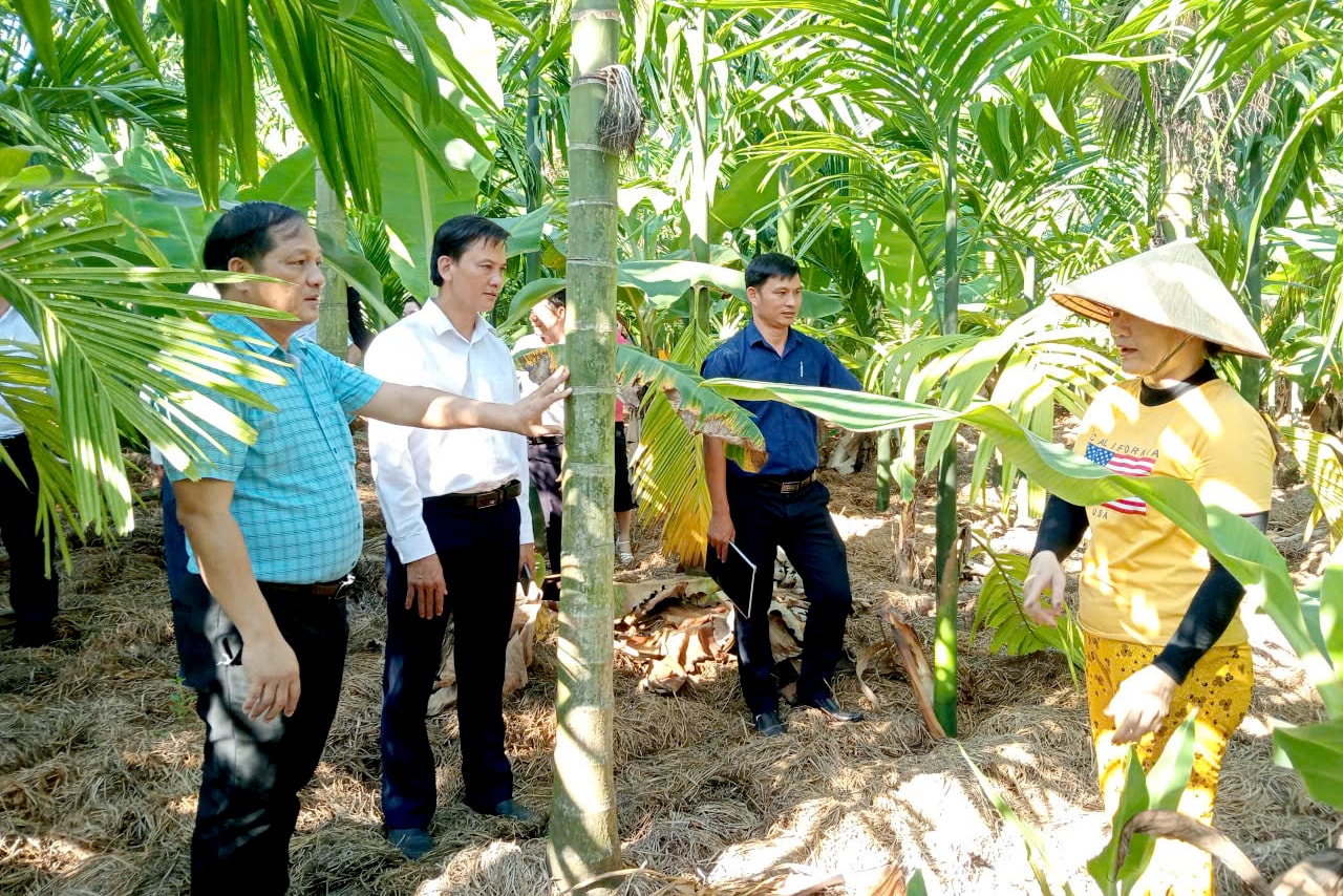 Kiểm tra mô hình sinh kế